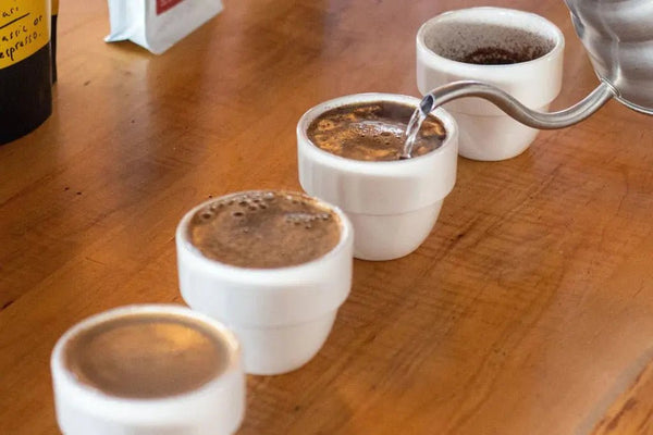 Cupping - Barista and Espresso
