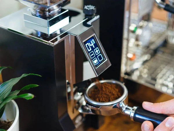 Electric coffee grinder - Barista and Espresso