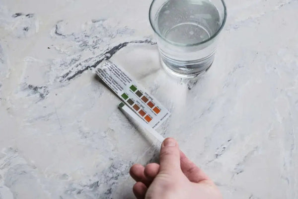 Water Filtration - Barista and Espresso
