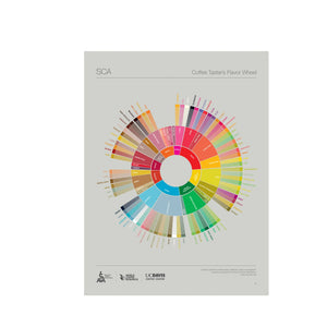 English - The Coffee Taster's Flavor Wheel Poster - SCA ESPRESSO GEAR