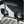 La Piccola Linea Cecilia Espresso Machines – Professional Coffee Quality - Barista and Espresso