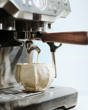 Portafilter for Sage Barista Series (54 mm) - Barista and Espresso